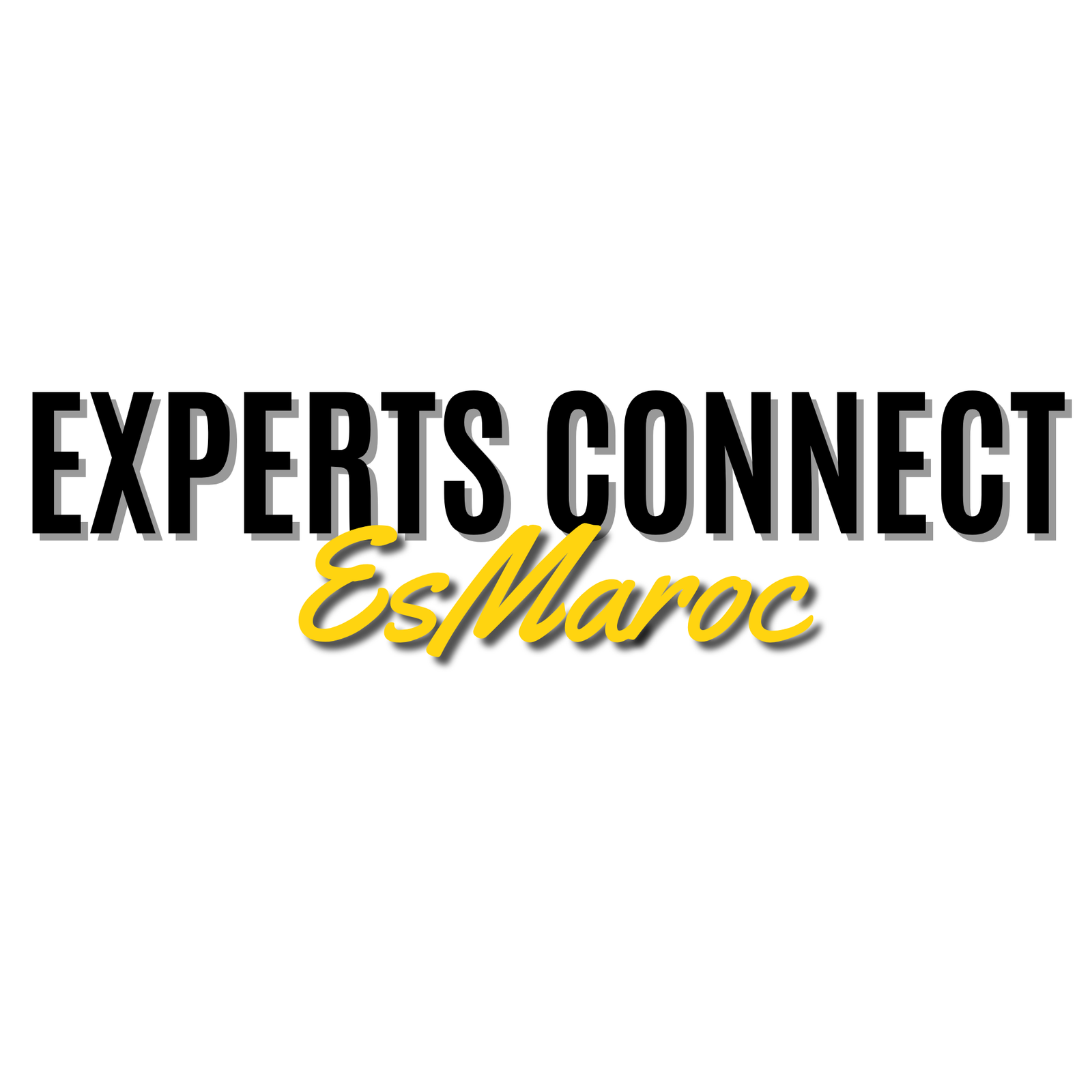 Logo Officiel Experts Connect