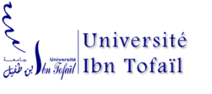 Ibn Tofail University