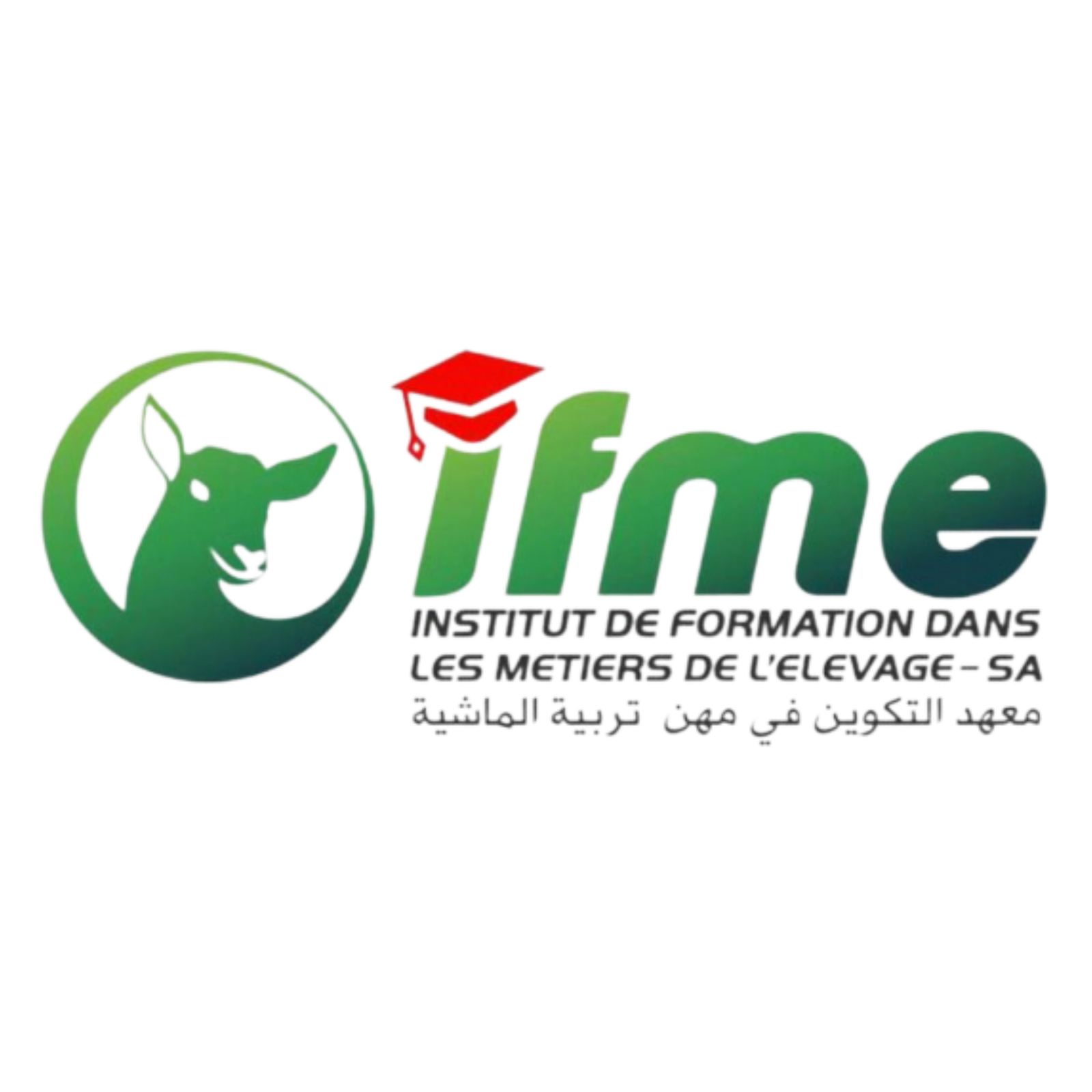 IFME